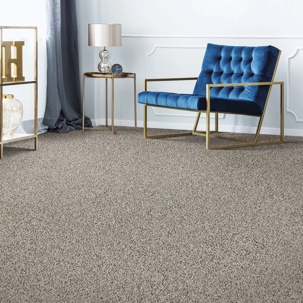 Gray carpet | Flooring & Carpets For Less.